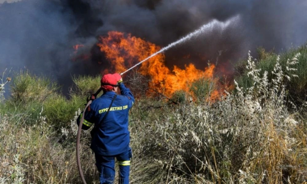 Νέος Ερινεός Αχαΐας: Έχει εκδηλωθεί φωτιά -Μεγάλη κινητοποίηση της Πυροσβεστικής